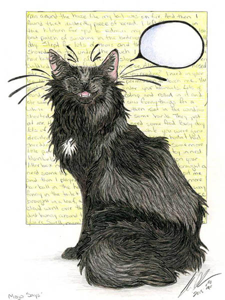 colored pencil drawing of a black long haired cat with an empty speech bubble looking gleeful. background box is full of nonsense text